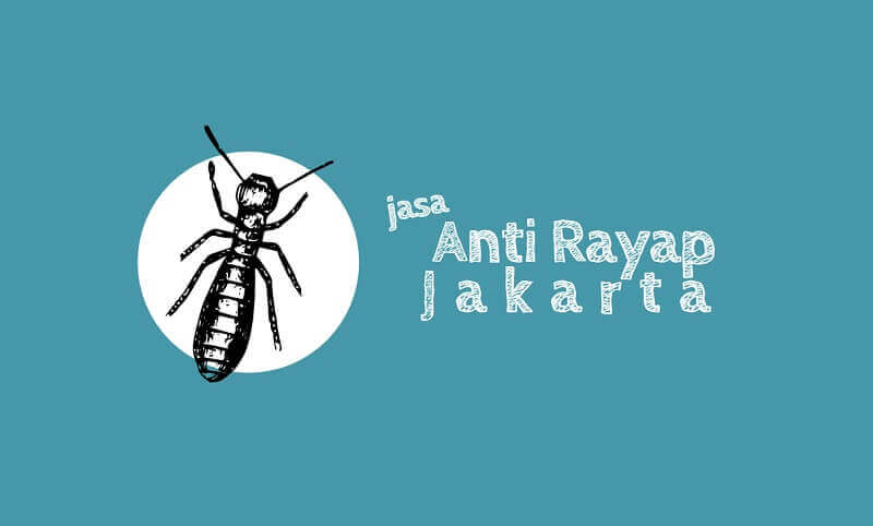penyedia jasa anti rayap jakarta terpercaya