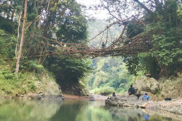 Jembatan Akar di Baduy